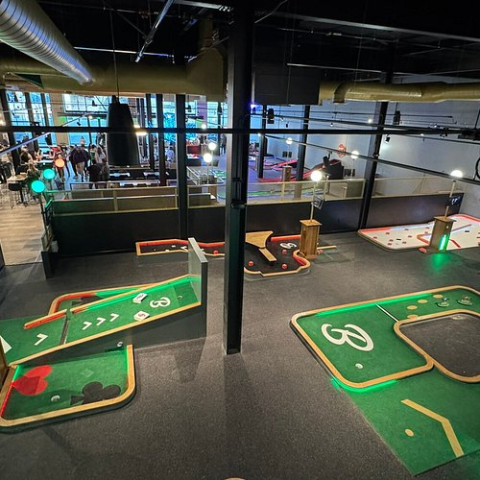 Birdeez Basement Game Night